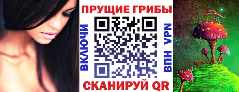 OMG зеркало продажа наркотиков Городище Галлюциногенные грибы ЛСД